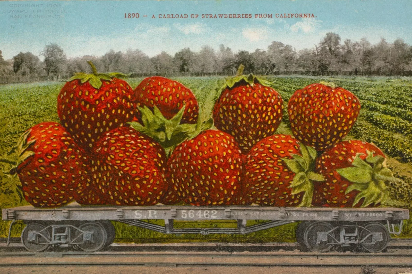 A postcard depicting gigantic strawberries on a wooden cart.