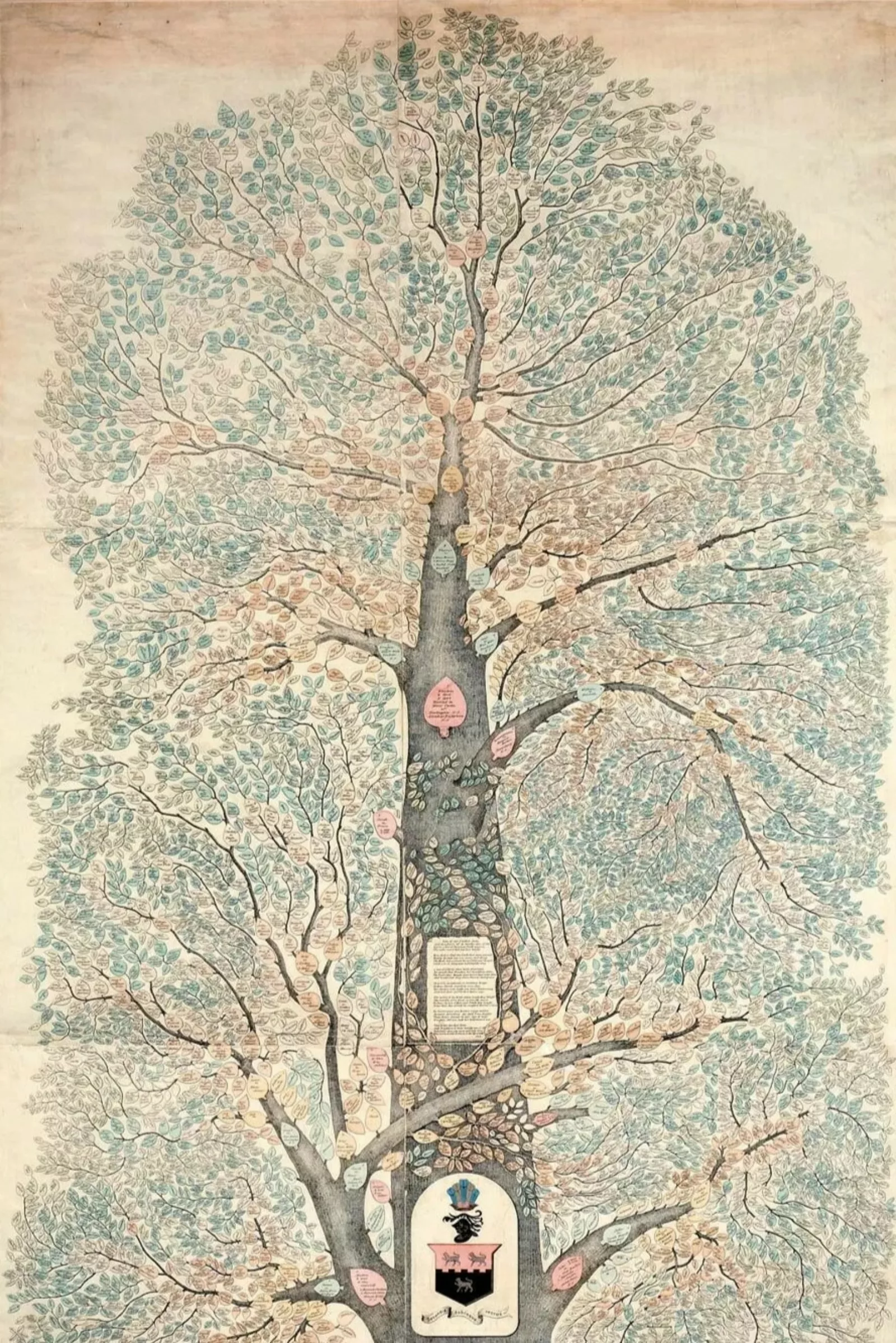 A large, illustrated tree with names of family members written throughout.