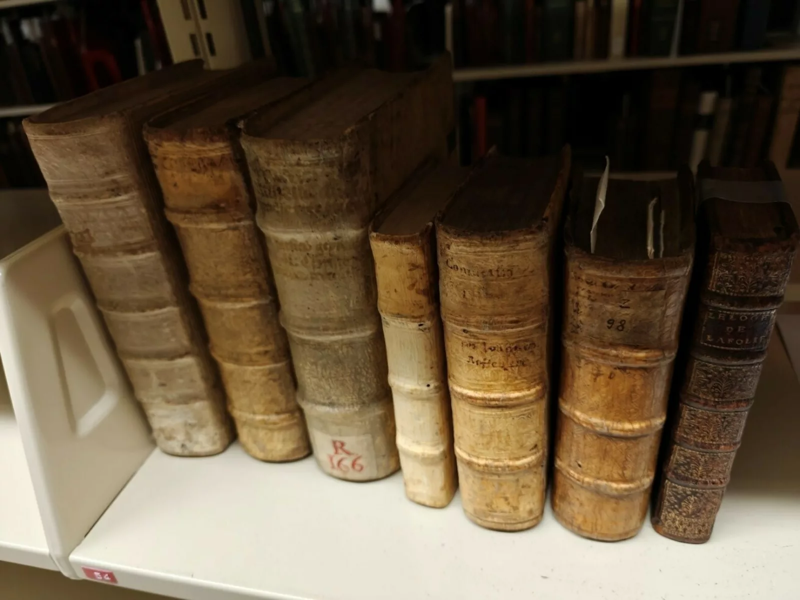 Book Spines on Shelf